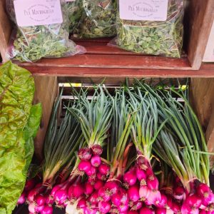 Radishes