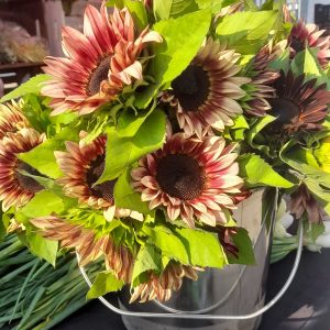 Sunflowers