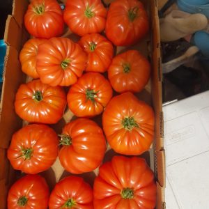 Tomatoes